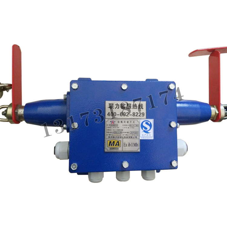 KG9001A-C2拉繩閉鎖開關|常州聯(lián)力自動化科技有限公司