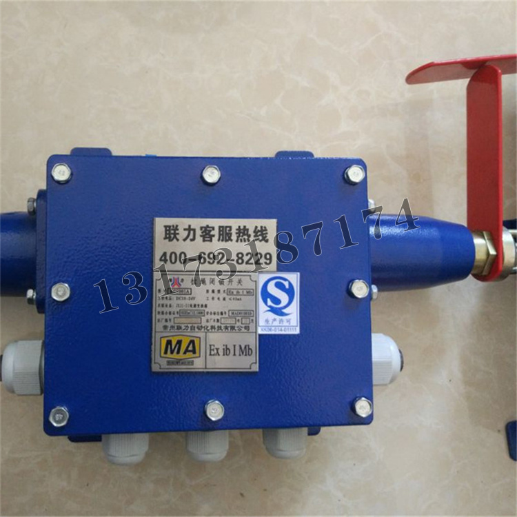 KG9001A-Z拉繩閉鎖開關|常州聯(lián)力自動化科技有限公司