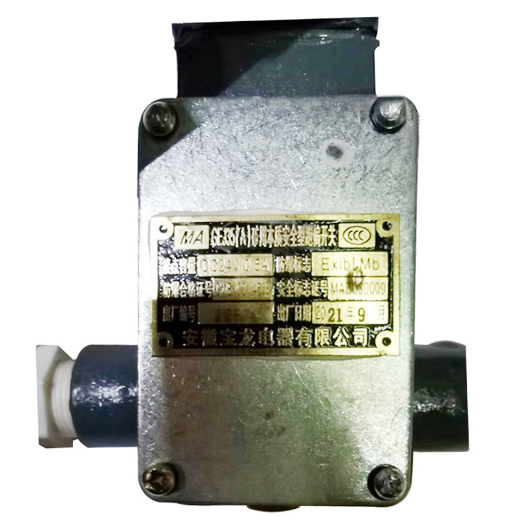 GEJ35礦用本質(zhì)安全型跑偏開(kāi)關(guān)-安徽寶龍電器有限公司